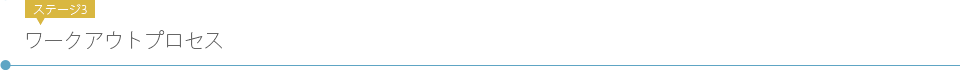 ステージ3 ワークアウトプロセス